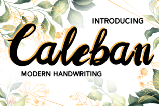 Caleban: A Designer’s Review for Real Projects