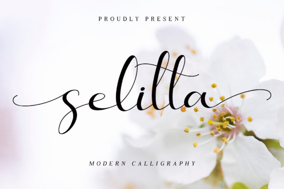 Discover Selitta: A Hand-Lettered Font for Creative Branding