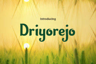 Driyorejo: A Designer’s Take on This Script Font