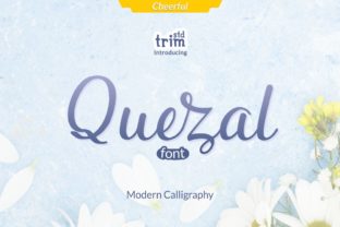 Quezal Font Review: Playful Handwritten Type for Brands