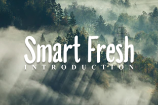 Smart Fresh: A Designer’s Practical Typeface Review